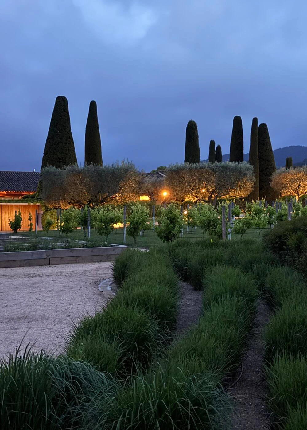 Garden planting and warm courtyard lights at dusk