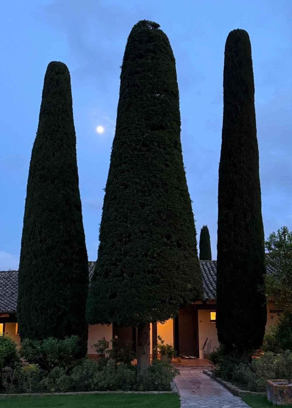 Tall cypresses framing a warmly lit entrance at dusk