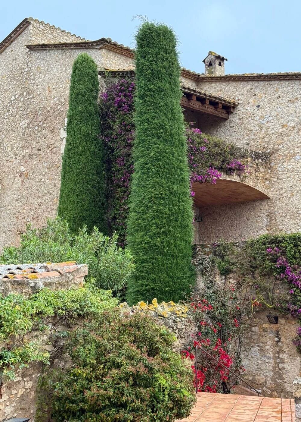 Stone building facade framed by tall clipped cypresses