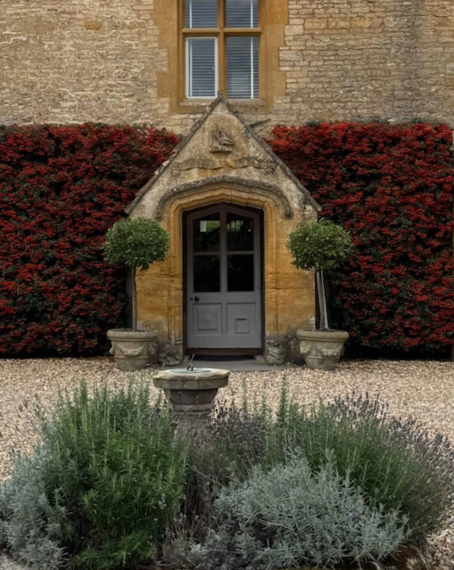 Pointed stone doorway framed by red climbing foliage