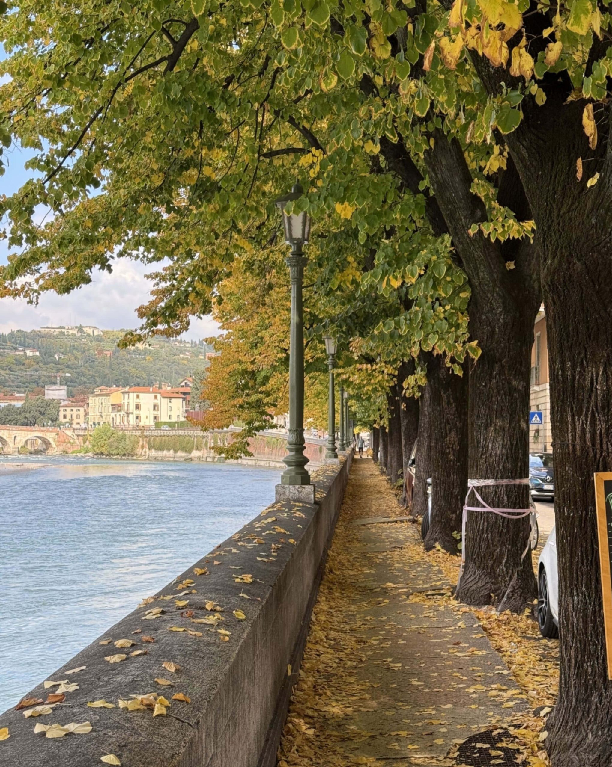 Tree-lined riverside path beside a stone wall
