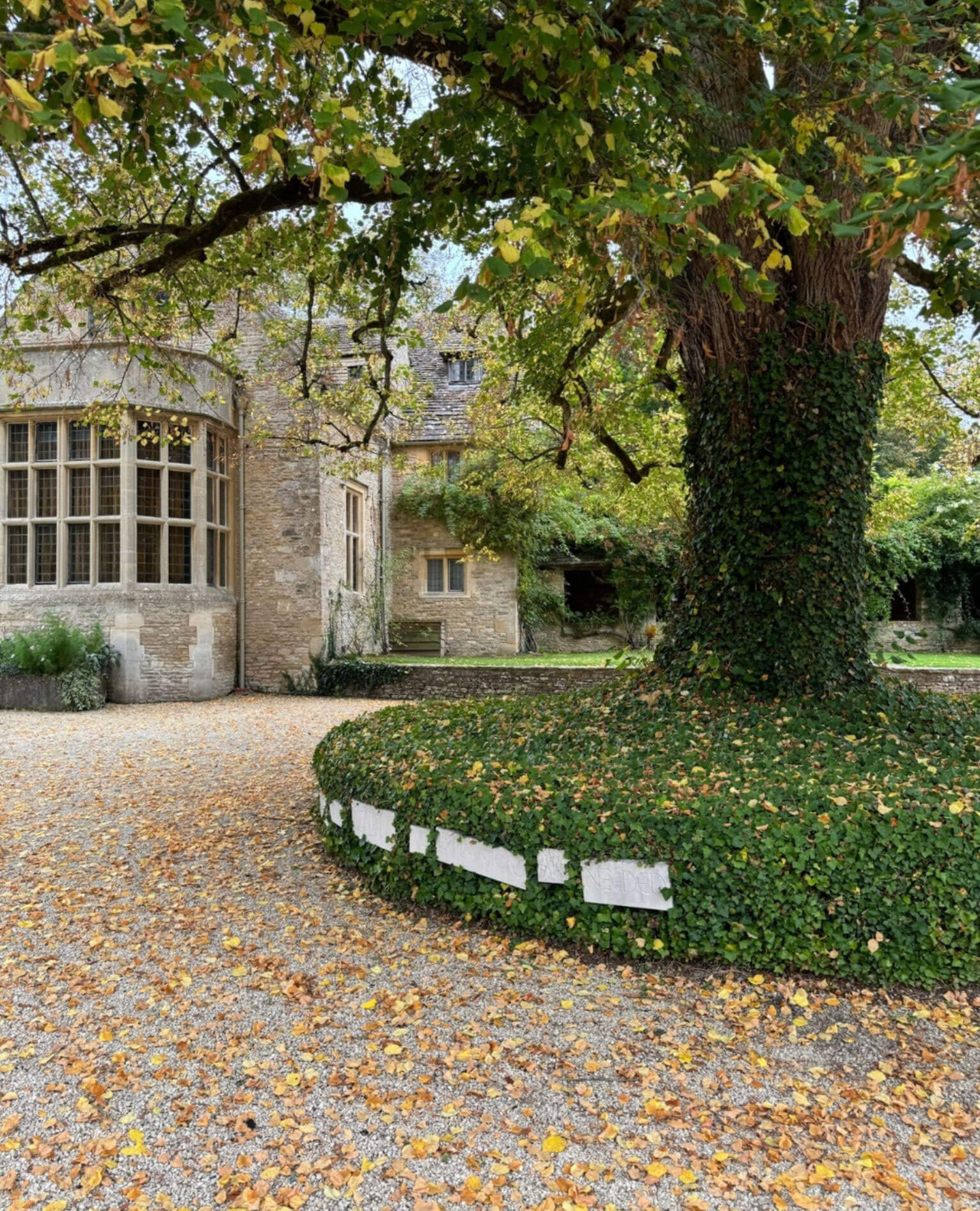Autumn leaves beneath a tree beside a stone manor