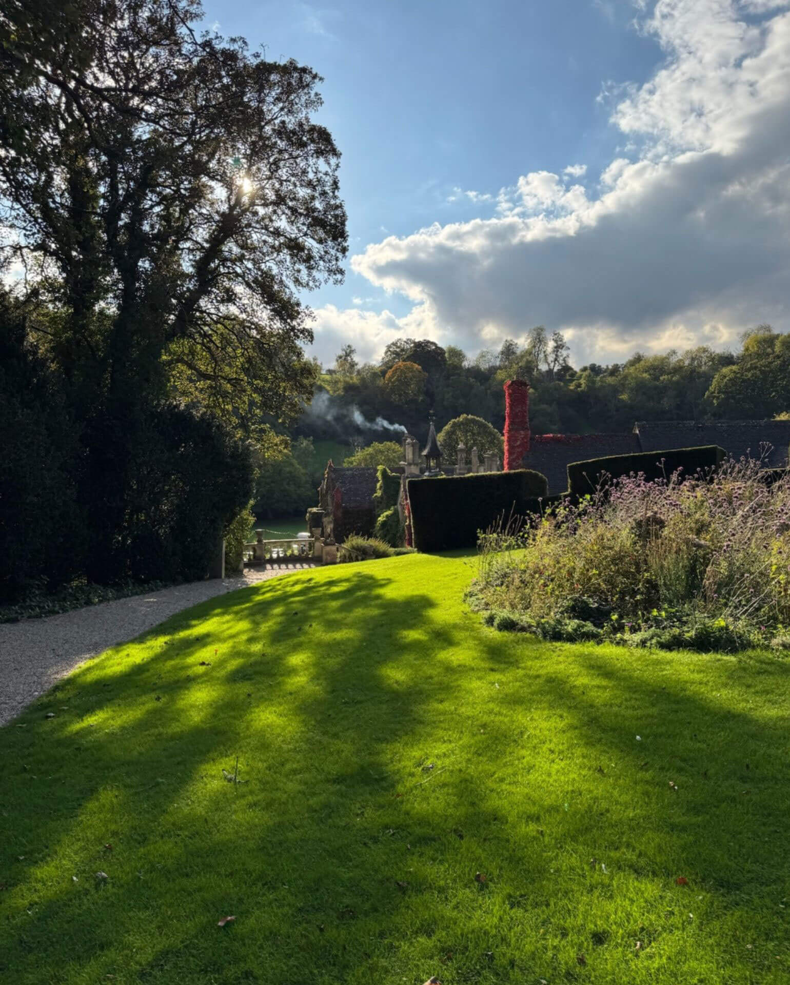 Sunlit lawn and planted borders in a country garden
