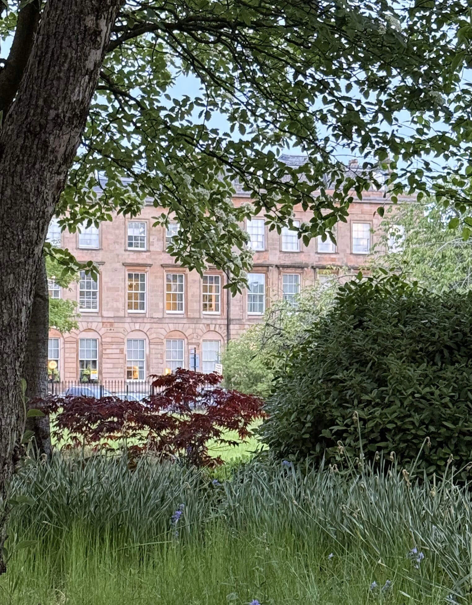 Wildflower garden and mature trees in front of a terrace