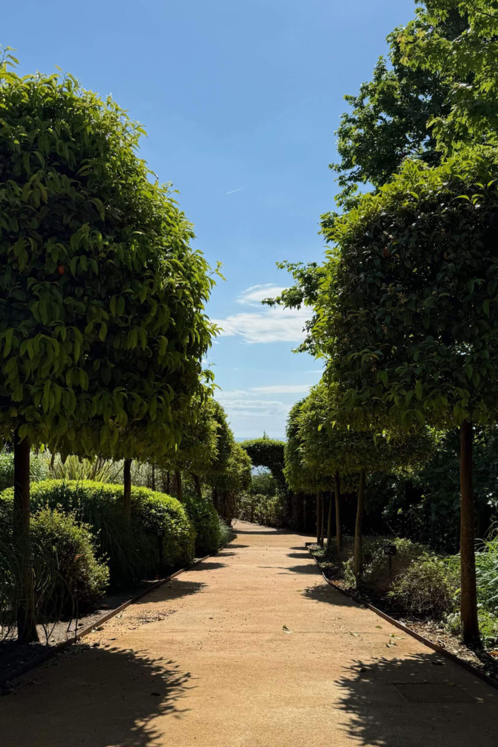 Tree-lined gravel walk through the gardens of Cap Roig