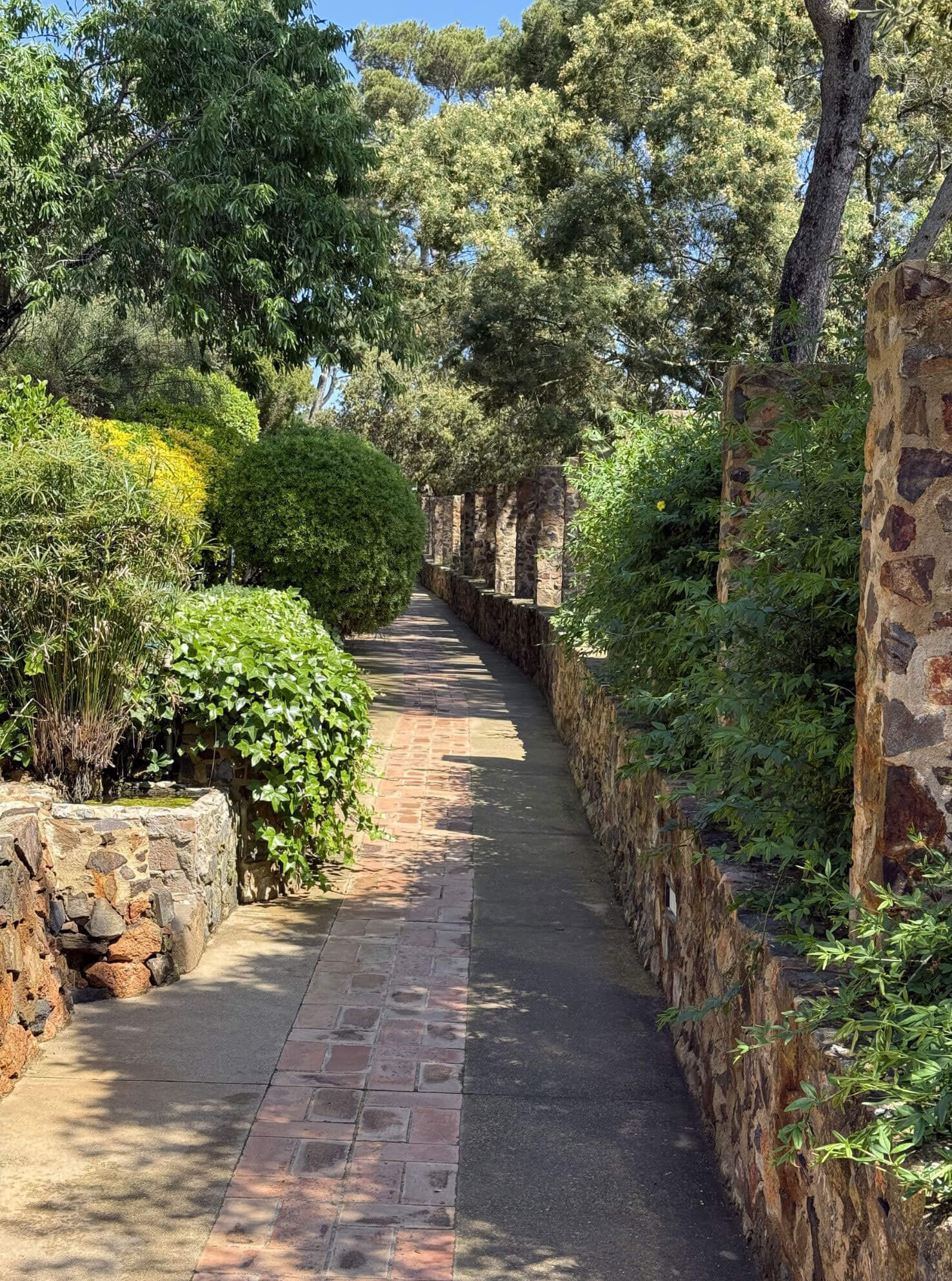 Narrow brick garden path enclosed by stone and planting