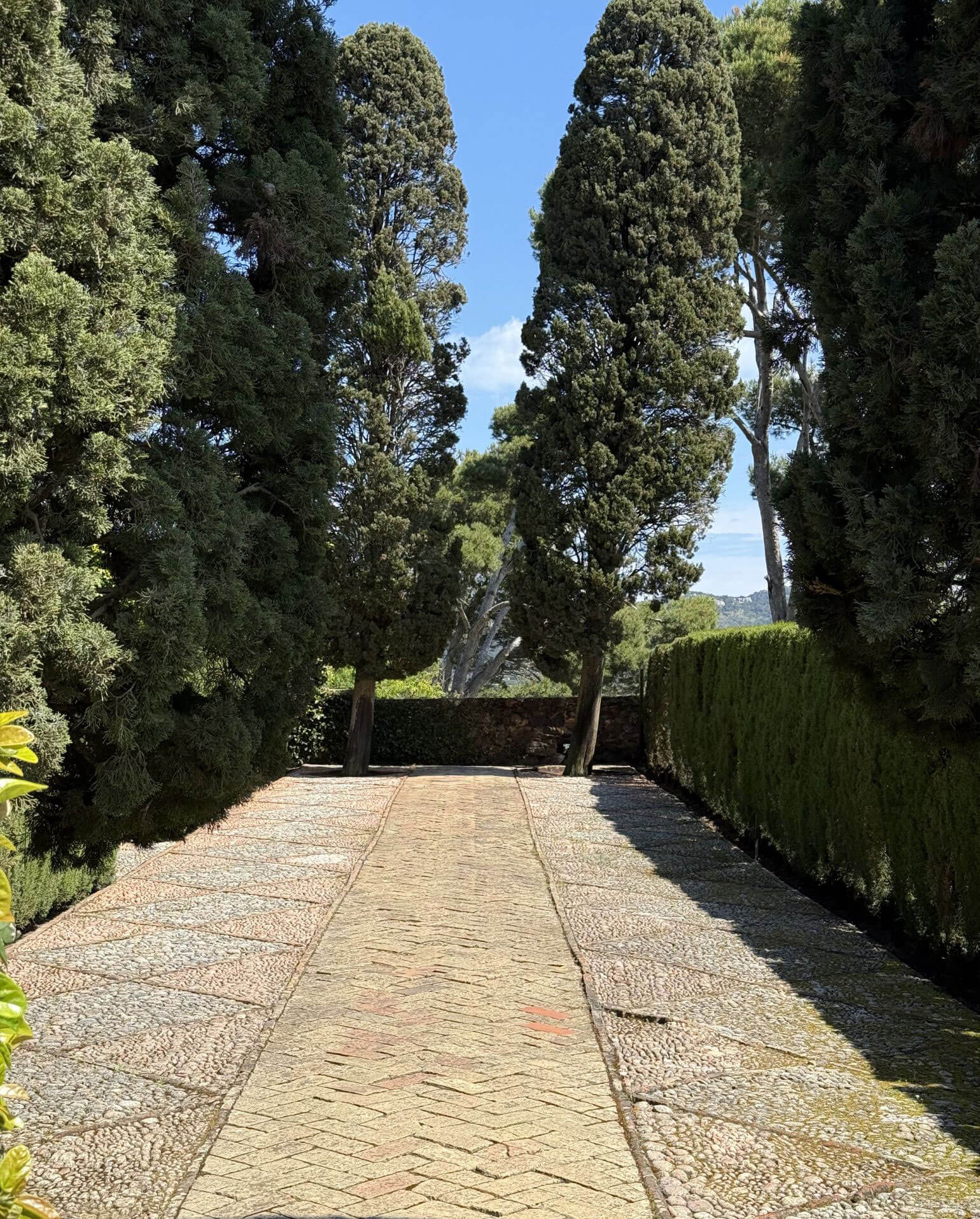 Stone-paved avenue framed by tall cypresses