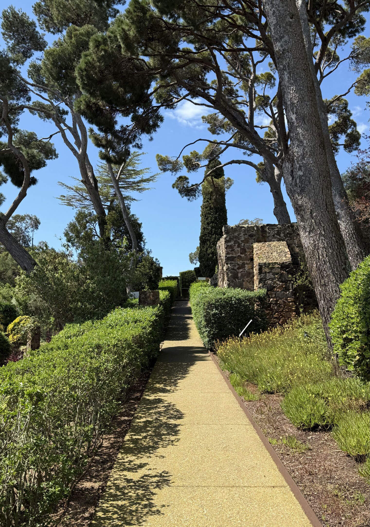 Straight garden walk beside clipped hedges and stone walls