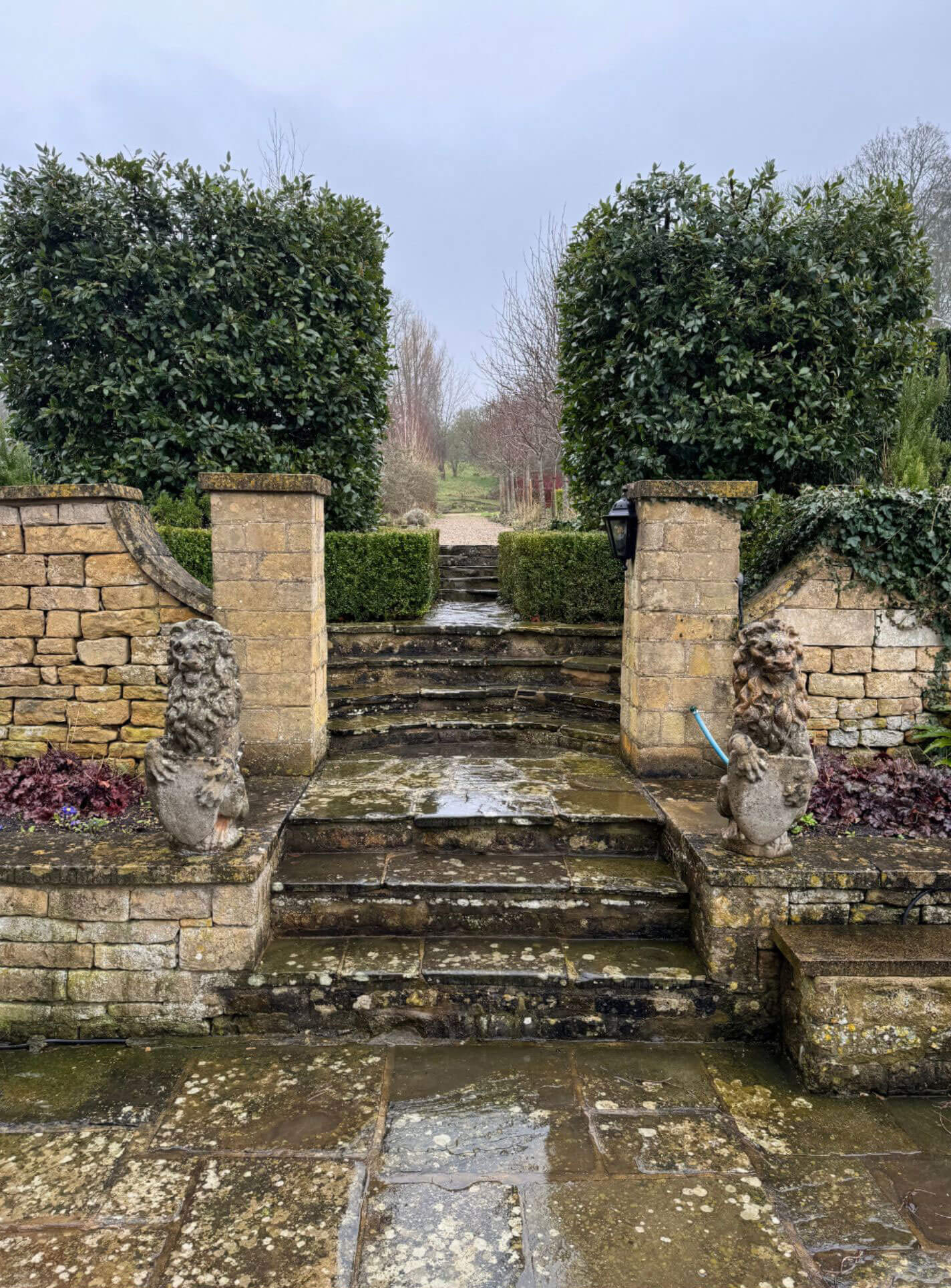 Stone garden steps between low walls and hedges