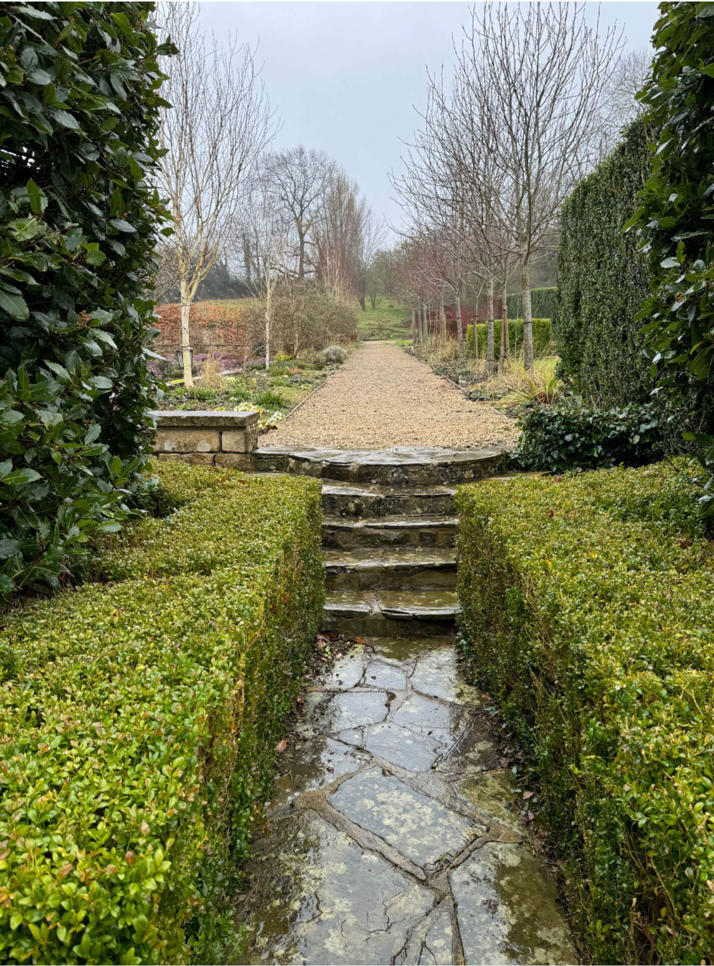 Steps leading to a gravel path enclosed by clipped hedges