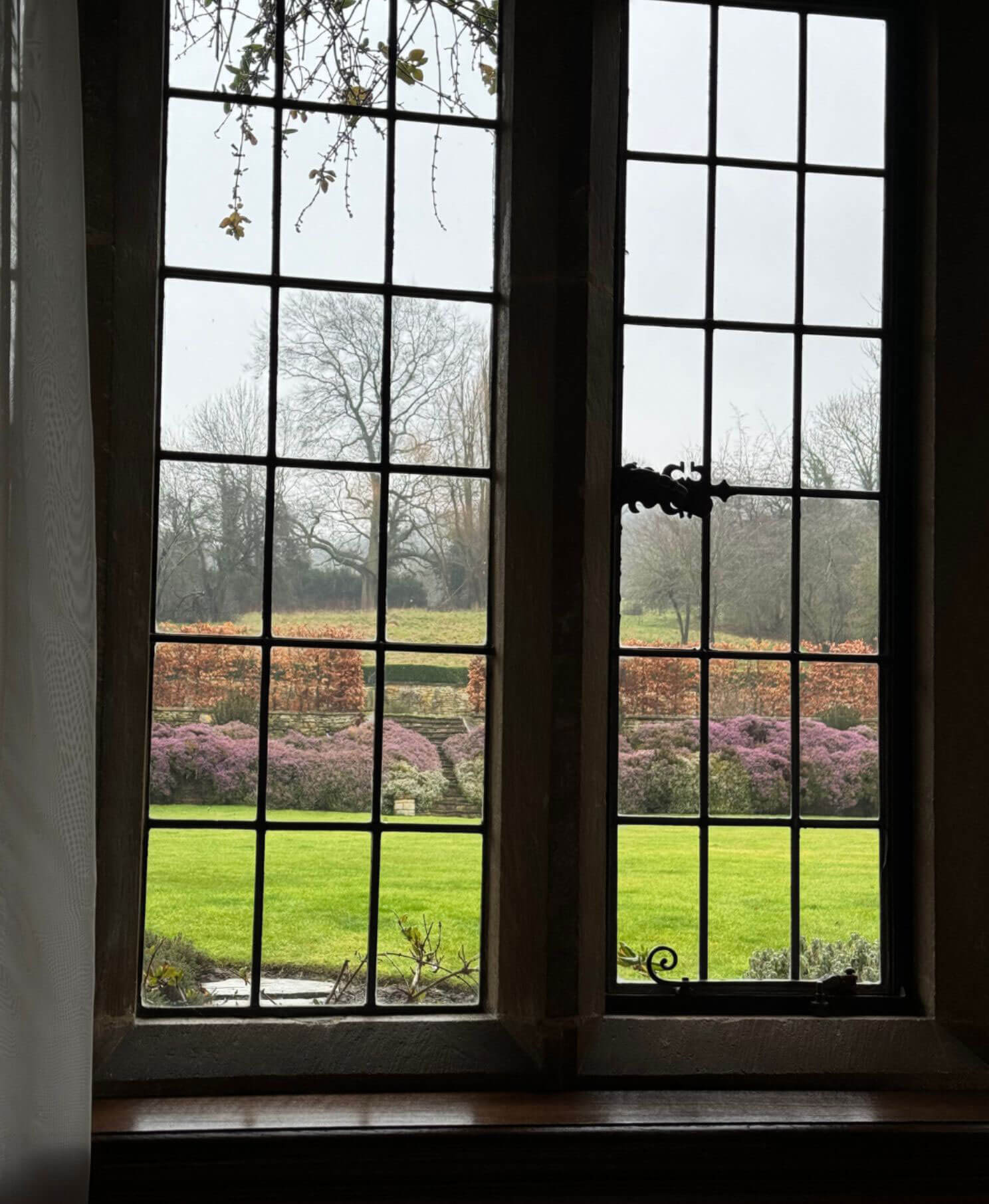 Garden view through a leaded window