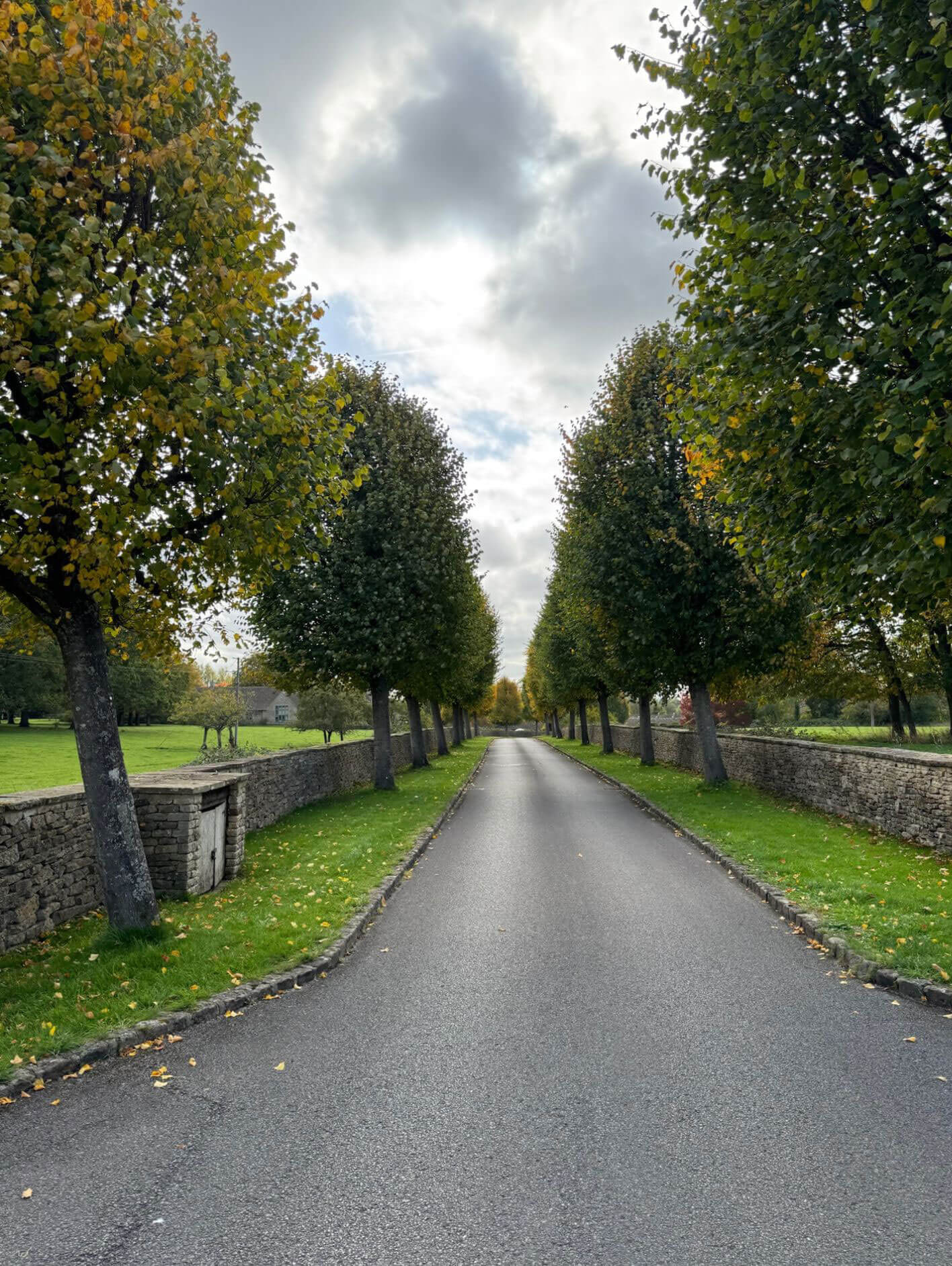 Tree-lined driveway approaching the manor