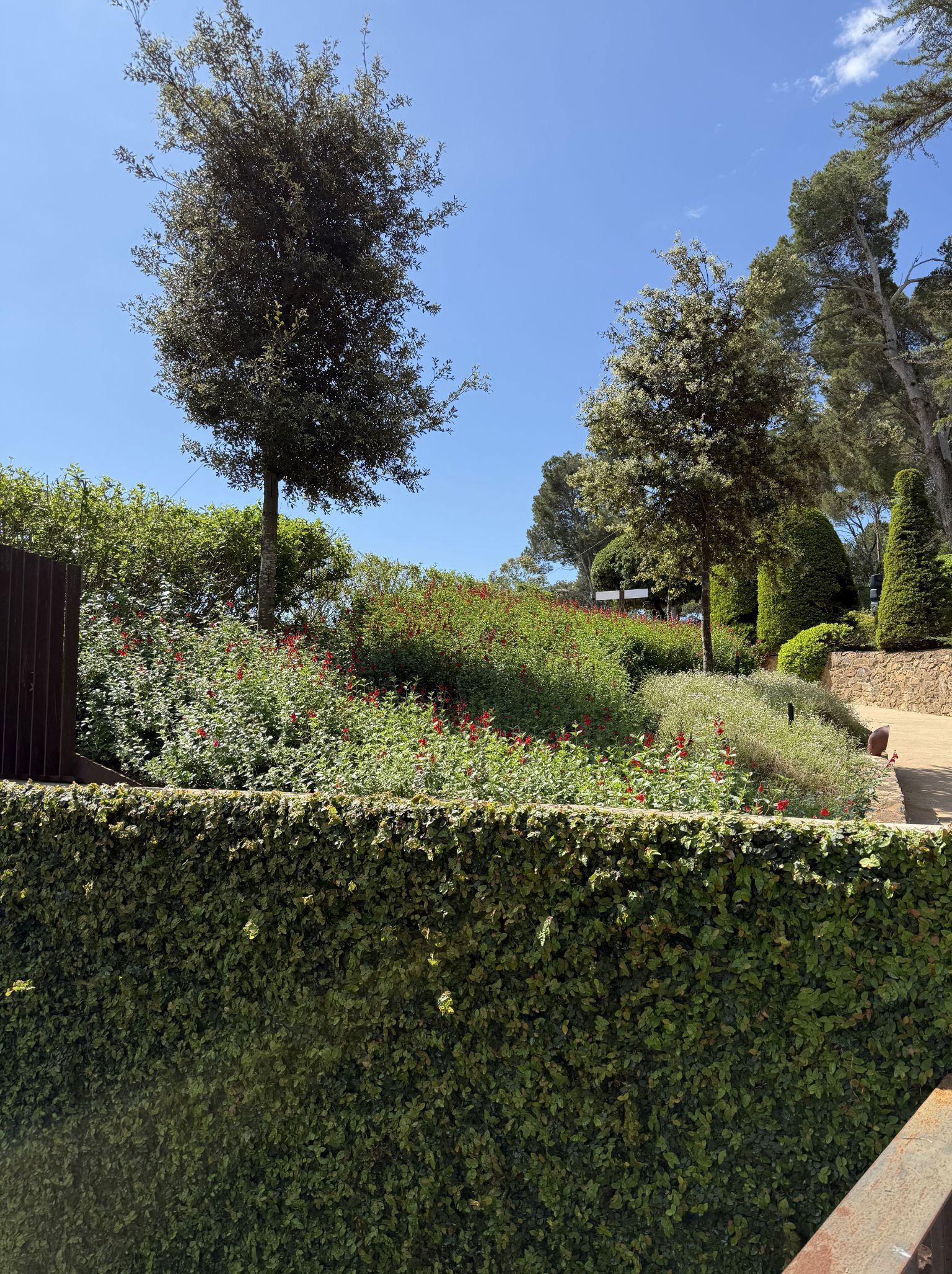 Layered planted terraces beside stone garden steps