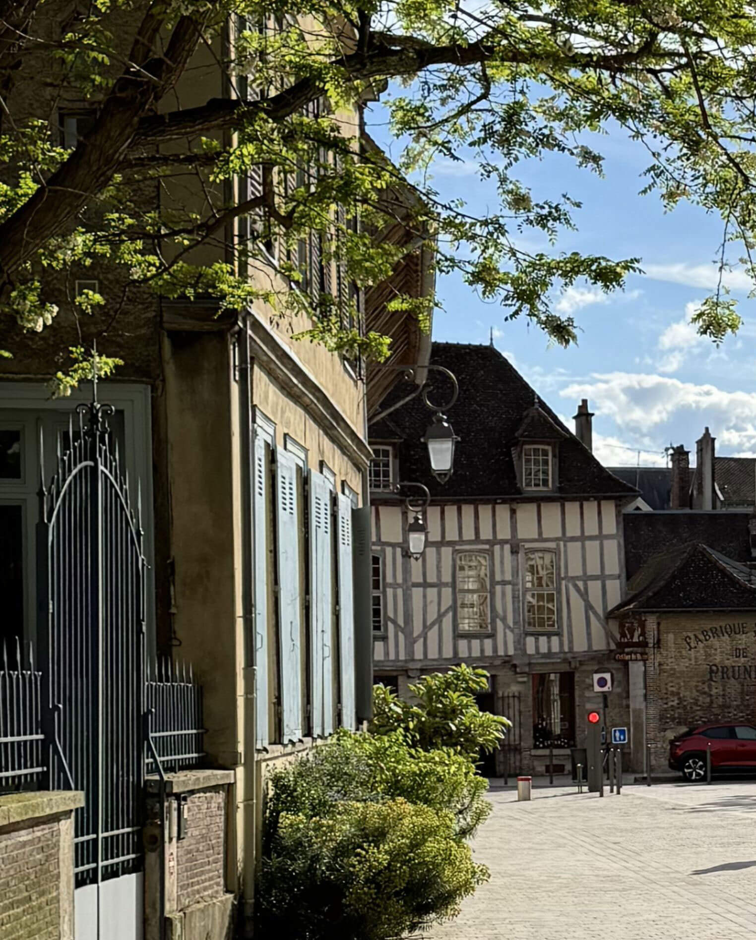 Leafy courtyard with historic half-timbered buildings
